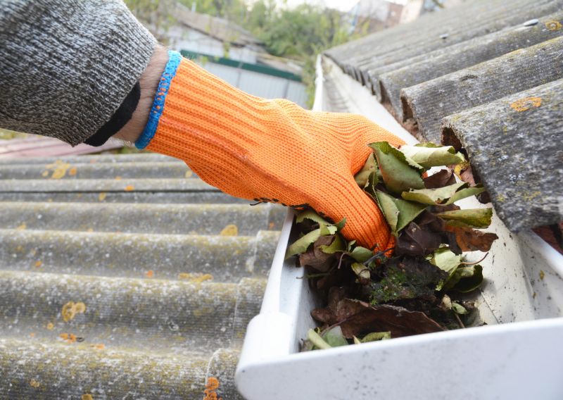 Gutter Covers on a Residential Roof